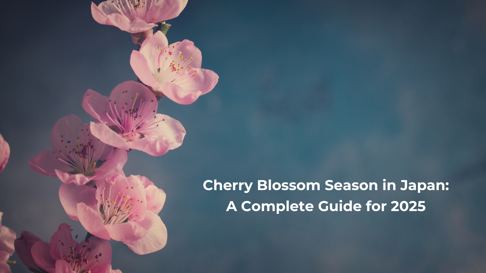 Website Blog Banner 6